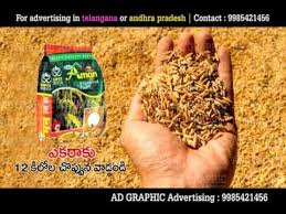 Syngenta India PVT LTD