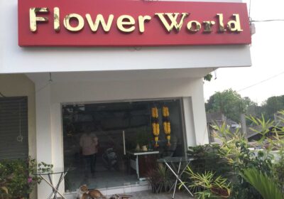 Flower World