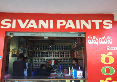 Sivani paints