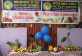 Wonder KIDS AC PLAY School