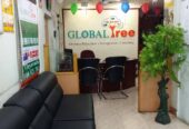 Global Tree Careers Pvt Ltd