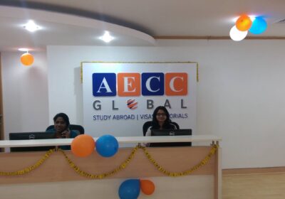 Aecc Global