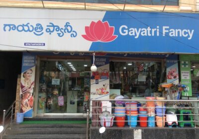 Gayatri Fancy