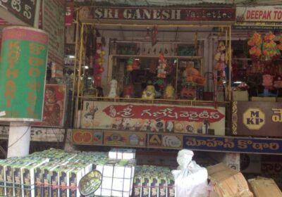 Sri Ganesh Varieties