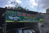 G.m.motors