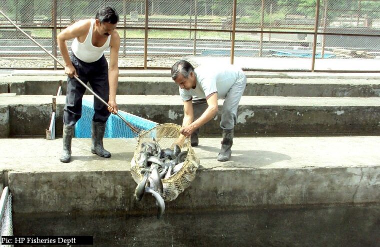 Kab Hatcheries Maruthinagar