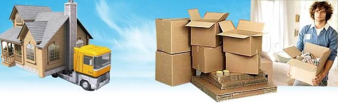 Apple Packers And Movers