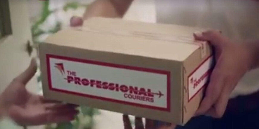 The Professional Couriers