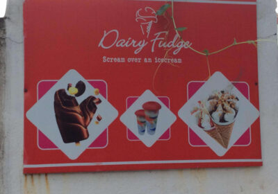 Dairy Fudge Icecream