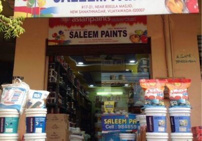 Saleem Paints