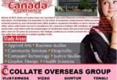 Collate Overseas Group