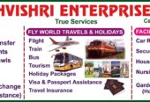 Lishvi Shri Enterprises