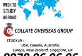 Collate Overseas Group